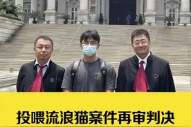 投喂流浪猫案件再审判决爱心投喂不构成法律上饲养人但仍需承担 20%责任#投喂流浪猫被判赔24万案宣判 #投喂流浪猫被罚24万 #投喂流浪猫被罚24万律师 #投喂流浪猫赔偿24万 #投喂流浪猫视频封面