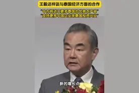 当地时间1月28日，泰国曼谷。王毅这样谈与泰国经济方面的合作：“中方将进口更多泰国的优势农产品，支持更多中国企业来泰国投资兴业。”视频封面