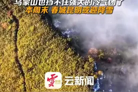 强降温来袭 昆明要下雪！#昆明下雪视频封面