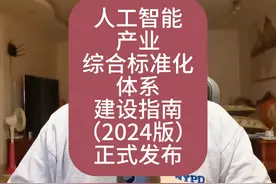 《人工智能产业综合标准化体系建设指南（2024版）》正式发布视频封面