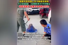 #四川成都 市民称路上多次躲避流浪狗，市公安局回复：已部署秋季犬只专项整治，收容流浪犬  处置不文明养犬行为视频封面