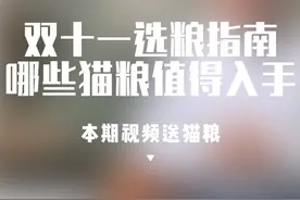 今年双十一哪些猫粮值得入手 #猫粮推荐#猫粮测评视频封面