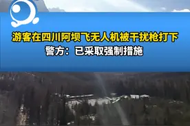 游客在四川阿坝飞无人机被干扰枪打下，称村民配合景区工作人员讹他的钱，警方：已采取强制措施视频封面