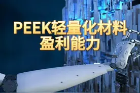 PEEK轻量化材料，盈利最强的10家企业 #peek轻量化材料 #盈利能力
