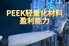 PEEK轻量化材料，盈利最强的10家企业 #peek轻量化材料 #盈利能力