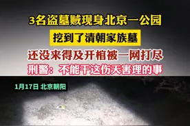 3名盗墓贼现身北京一公园 挖到了清朝家族墓 还没来得及开棺被一网打尽 刑警:不能干这伤天害理的事（记者：李越）#北京dou知道视频封面