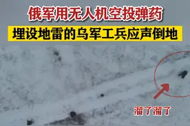 俄军用无人机空投弹药，埋设地雷的乌军工兵应声倒地 #东南军情 #俄罗斯 #乌克兰视频封面