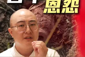 边境枪声响起，泰国柬埔寨撕破脸！中国为啥必须管？ #掘金计划2025 #泰柬冲突 #泰柬边境 #东南亚局势 #地缘政治