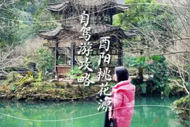 花¥100去桃花源相遇陶渊明，你觉得值得吗？片尾有文字攻略。视频封面