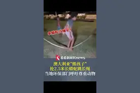 惊呆！#澳大利亚熊孩子抡2米半长的蟒蛇跳绳  当地环保部门呼吁#尊重动物  #澳大利亚  #熊孩子视频封面
