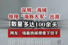 【深圳一海域惊现百余头海豚集体出游】 #深圳dou知道视频封面