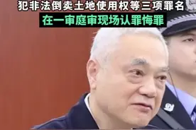 刘捍东受贿、滥用职权、非法倒卖土地使用权案一审开庭。（剪辑：吕保宽）视频封面