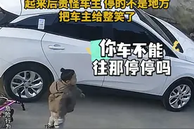 男孩只顾闷头骑车， 结果一头撞在路边的车上，起来后竟责怪车主 停的不是地方，把车主给整笑了#萌娃视频封面