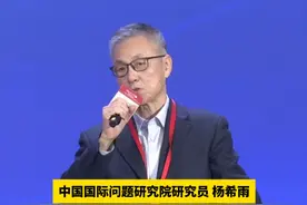 中国国际问题研究院研究员杨希雨：中国要集中精力办好自己的事情视频封面