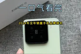 一口气看完2024年全年销量最高的手机品牌排名 #数码科技视频封面