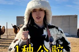 内蒙女光棍谈种公驼求偶，尾巴沾尿打屁股？使尽浑身解数示爱视频封面