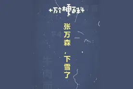 十万个梗百科：张万森，下雪了 #张万森下雪了 #伤感 #初雪视频封面