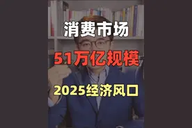深度解读2025经济和消费趋势，3层视角，3大方向 #商业思维 #经济发展趋势 #提振消费 #AI在抖音  #政策解读视频封面