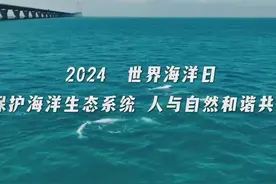 世界海洋日 | 保护海洋生态系统，促进人与自然和谐共生视频封面
