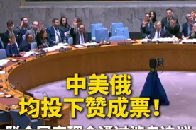 中美俄均投下赞成票！ #联合国安理会通过涉乌决议视频封面
