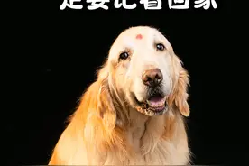 谢谢你这七年多陪伴 这次换我在家等你 下辈子我们还要做家人 
果果姥姥永远爱你视频封面