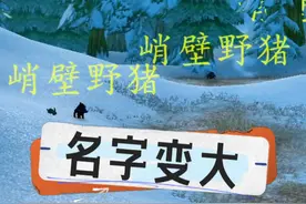 NPC名字变大，远距离一目了然！ #魔兽世界 #魔兽世界怀旧服 #魔兽世界专家模式视频封面