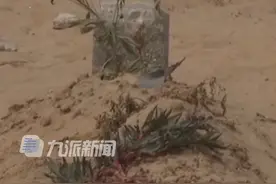 当地时间4月25日，#加沙出生就是孤儿的女婴离世 ： 出生仅5天， 妈妈怀孕30周遇袭，医生紧急手术将其取出。视频封面