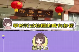 攀枝花动物园的嘴有多硬！宁愿承认自己场地小，也不愿意承认自己喂多了！！#攀枝花动物园 #真实视频封面