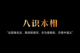 八识本相：你的意识背后，藏着怎样的真相？ 你是否想过视频封面