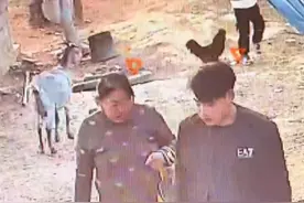 男孩到农场找奶奶被公鸡追着啄，爸爸@张大本事 零帧起手“无害化处理”，“啄谁不行 非啄他”#田园生活视频封面