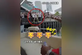 4月4日，中国香港。顶级网红“甲亢哥”到码头登船，引无数粉丝热情围堵秩序告急。看到有人翻越栏杆 ，“甲亢哥”急的连喊“NO”。温馨提示：追星需理性，安全永远第一！#甲亢哥视频封面