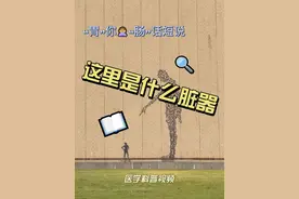 一个视频告诉您，身体不同位置究竟藏着什么器官 这个视频让您更好地了解自己，不单单是外表，更是了解自己的内在。#医学科普知识视频封面