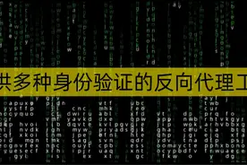 提供多种身份验证的反向代理工具 oauth2-proxy视频封面