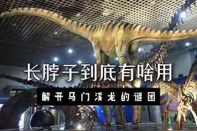 来北京必须打卡这家博物馆：看世界脖子最长的恐龙视频封面