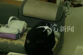 男孩发现妈妈又外出打工了掩面伤心 妈妈在监控上看到后又坐车折返回了家 这次回来再也不走了 “ 钱不钱无所谓了 陪伴孩子最重要”视频封面