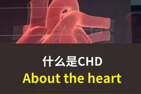 冠心病从何而来？ 以动画的形式深度解析它 #微观世界  #动画视频封面