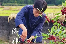吃不完的洛神花摘回家做成洛神花果脯，酸酸甜甜好吃，做法简单 #洛神花 #农村美食 #我的乡村生活 #新农人计划2024 #红桃k视频封面