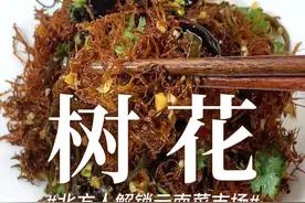 吃过一次后就念念不忘的神奇植物，终于被我找到了 #抖音美好食光 #云南美食 #树花 #凉拌菜视频封面