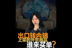 上架的外贸商品谁来买单？#外贸优品中华行  #dou懂中国 #王大沁视频封面