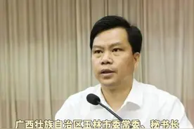 广西壮族自治区玉林市委原常委、秘书长邹宇鹏被开除党籍和公职#反腐倡廉视频封面