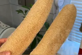 女孩子爱美，脸上长斑长痘脸色不好看？老中医教你妙用丝瓜！“ 丝瓜+荷包蛋 丝瓜+桑叶，煮水喝”视频封面