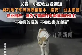 4月24日，吉林长春，#物业回应发通知对地下车库流浪猫投药  ：是为了警醒在车库遛狗的业主，不会真的投药伤害流浪猫。视频封面
