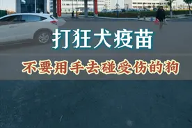 血清里原来正常是有泡泡的，过年也不能喝酒了。 打狂犬疫苗，这里只有纪实；不要碰不安全的狗，离它远点，否则就要体验一把“酸爽”，有没有同样经历的?过年也不能喝酒了。#狂犬疫苗 #姜大小子视频封面