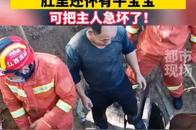 怀着孕的“千斤”母牛坠井把主人急坏了，消防员们紧急救援！#母牛 #怀孕 #消防救援 #坠井 #江西dou知道 视频封面