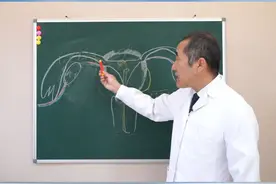 子宫内膜癌，我们应该如何预防？ #子宫内膜癌 #女性 #妇科炎症 #医学科普 #北京协和医院万希润视频封面