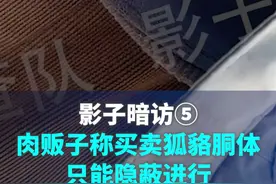 影子暗访丨#肉贩子称买卖狐貉胴体只能隐蔽进行 #澎湃315调查视频封面