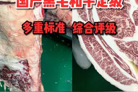 你不会现在才知道牛肉还要定级吧？牛肉的定级分很多个因素，多重标准，综合评级！#牛肉 #和牛 #黄牛 #眼肉牛排 #抖音美食推荐官视频封面