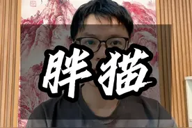 占据了7个热搜的“胖猫”毁掉他的是捞女 #热点视频封面