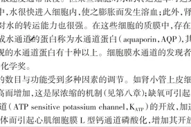 十版生理学教材的载体易化扩散 #考研 #医考 #每天学习一点点视频封面