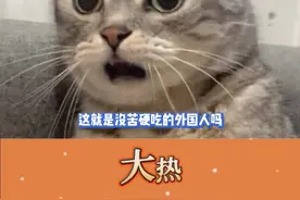 这就是没苦硬吃的外国人吗？！#德国 #离谱 #一起看视频封面